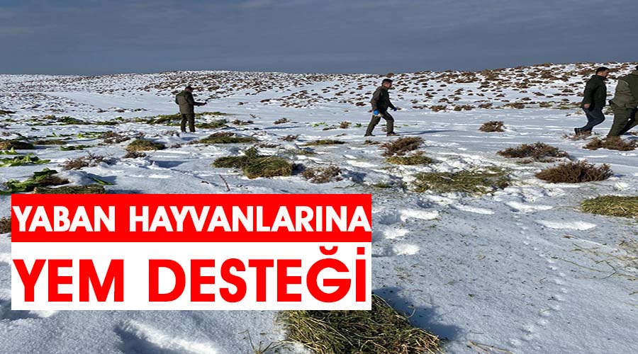 Yaban hayvanları için doğaya yem bırakıldı