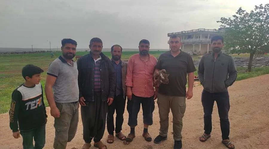 Yaralı bulunan Karaçaylak kuşu korumaya alındı