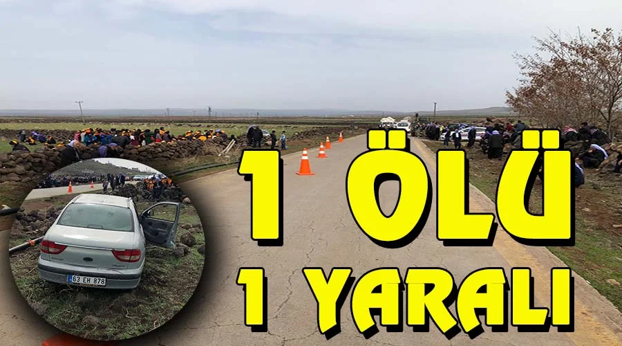 Otomobil şarampole devrildi: 1 ölü 1 yaralı