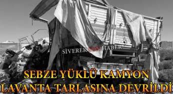 Sebze yüklü kamyon tarlaya devrildi