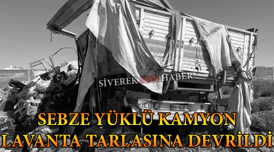 Sebze yüklü kamyon tarlaya devrildi