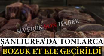 Şanlıurfa’da tonlarca kilo bozuk et ele geçirildi