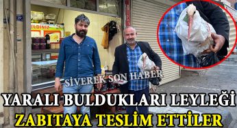 Yaralı buldukları leyleği zabıtaya teslim ettiler