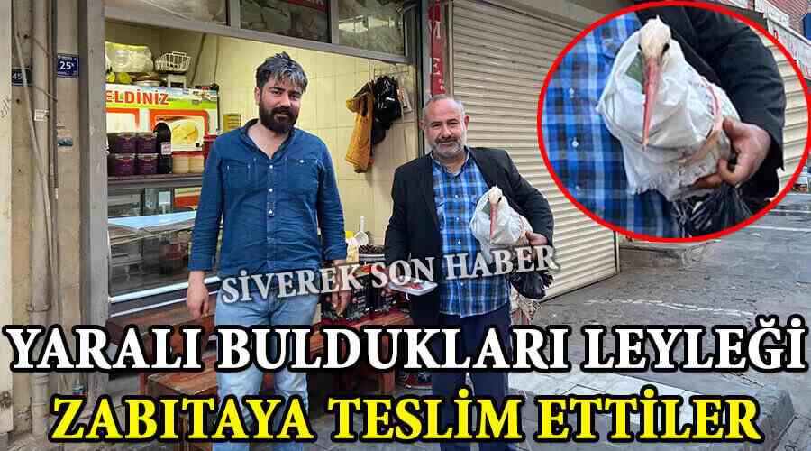 Yaralı buldukları leyleği zabıtaya teslim ettiler