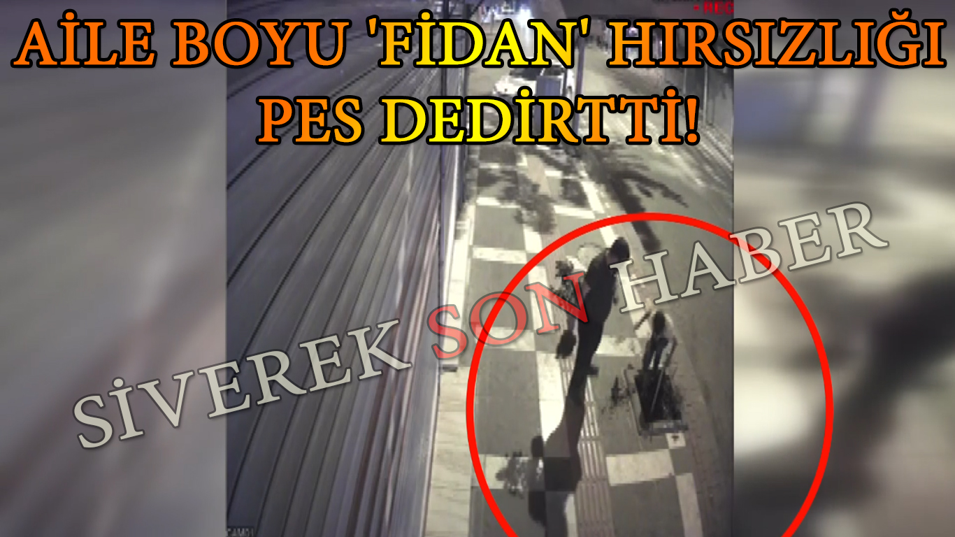 Aile boyu ‘fidan’ hırsızlığı pes dedirtti!