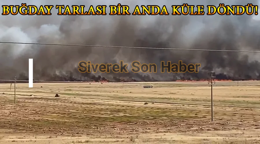 Buğday tarlası bir anda küle döndü!