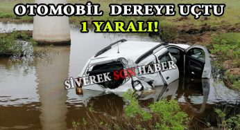 Otomobil şarampole devrildi: 1 yaralı