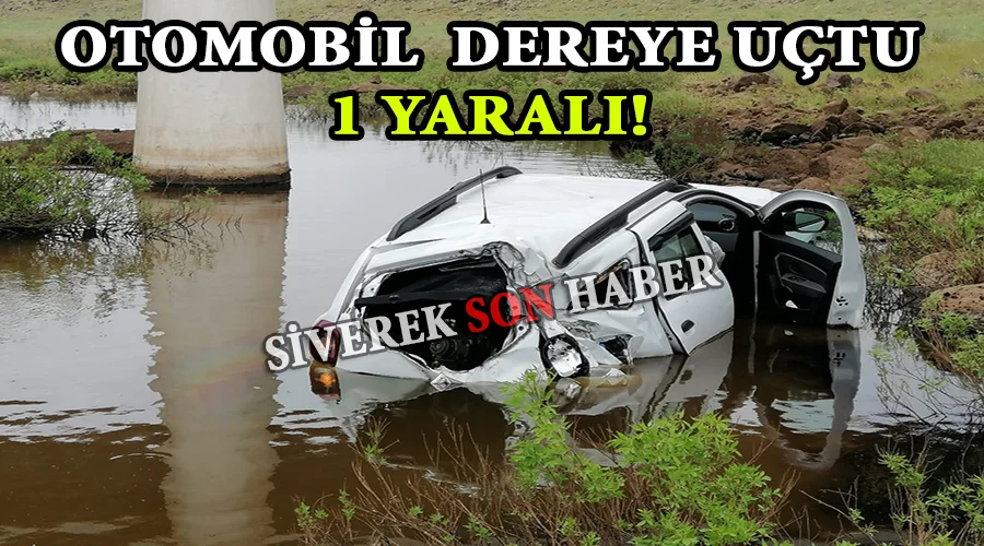Otomobil şarampole devrildi: 1 yaralı