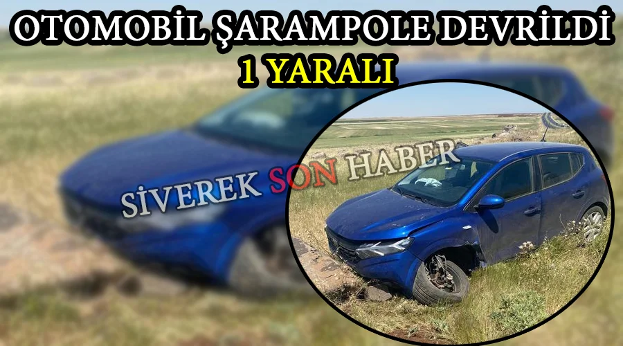 Otomobil şarampole devrildi: 1 yaralı