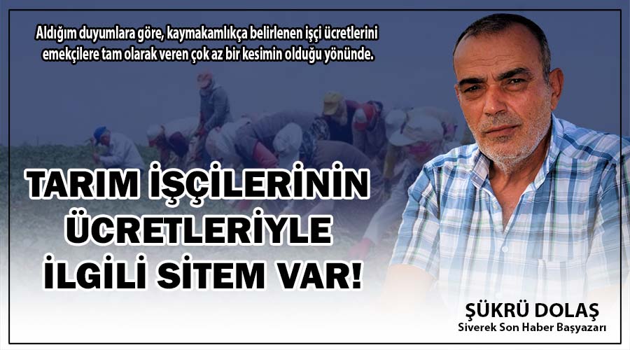 Tarım işçilerinin ücretleriyle ilgili sitem var!