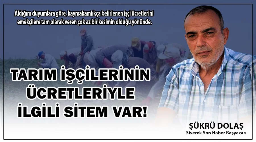 Tarım işçilerinin ücretleriyle ilgili sitem var!