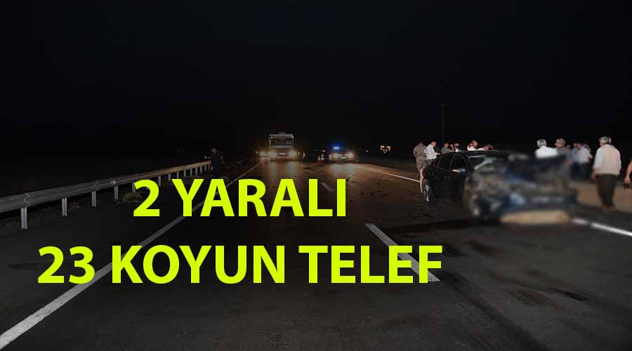 Koyun sürüsüne çarpan otomobilde 2 kişi yaralandı!
