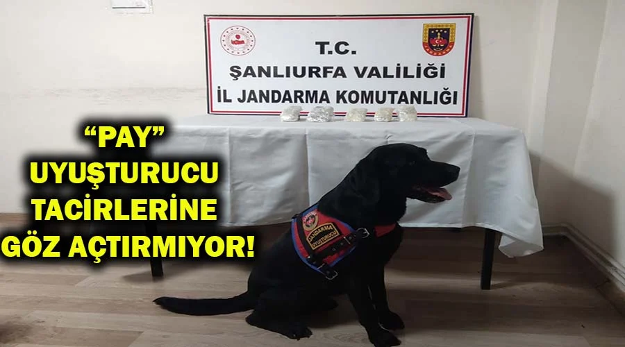 Esrarla yakalanan yolcu gözaltına alındı