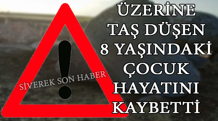 Üzerine taş düşen 8 yaşındaki çocuk hayatını kaybetti
