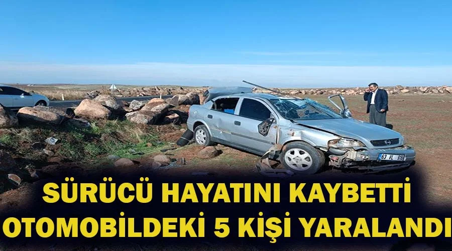 Şarampole devrilen otomobilin sürücüsü hayatını kaybetti