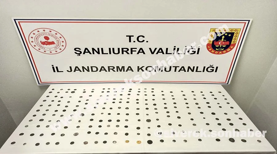 Tarihi eser operasyonunda 2 şüpheli yakalandı