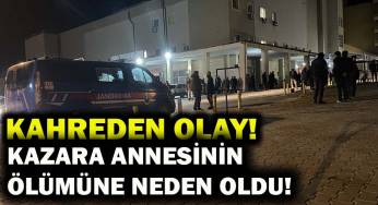 Tabancayla oynarken annesini vurdu!
