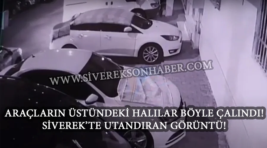 Siverek’te utandıran görüntü!