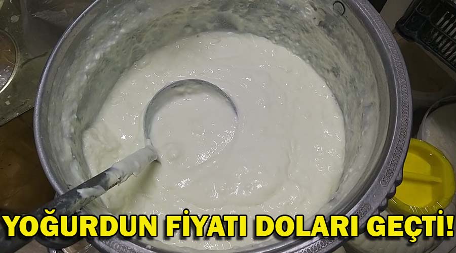 Hayvancılığın merkezinde yoğurt fiyatı doları geçti