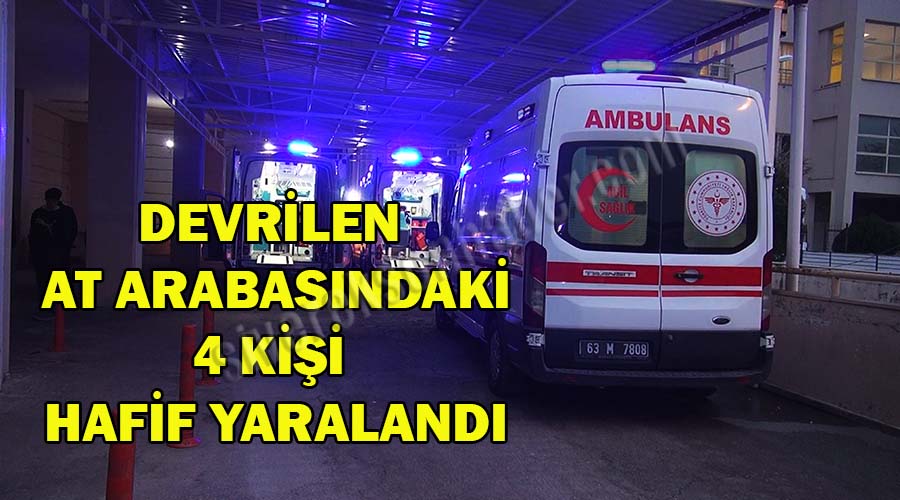 Devrilen at arabasındaki 4 kişi yaralandı