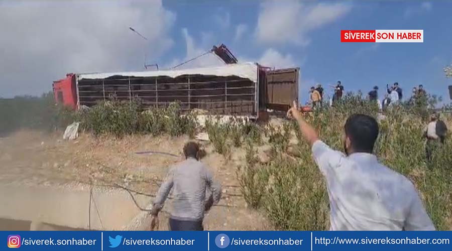 Şarampole devrilen tırda 80 koyun telef oldu