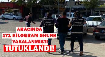 171 kilogram skunkla yakalanan şüpheli tutuklandı