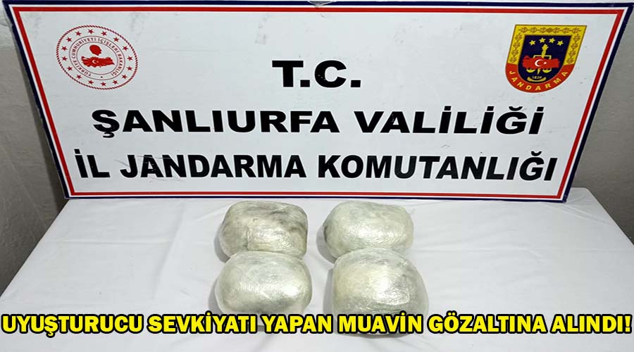 Uyuşturucu taşıyan muavin gözaltına alındı