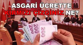 Türk-İş Genel Başkan Yardımcısı Ağar’a soruldu: Asgari ücrette kırmızı çizginiz ne?