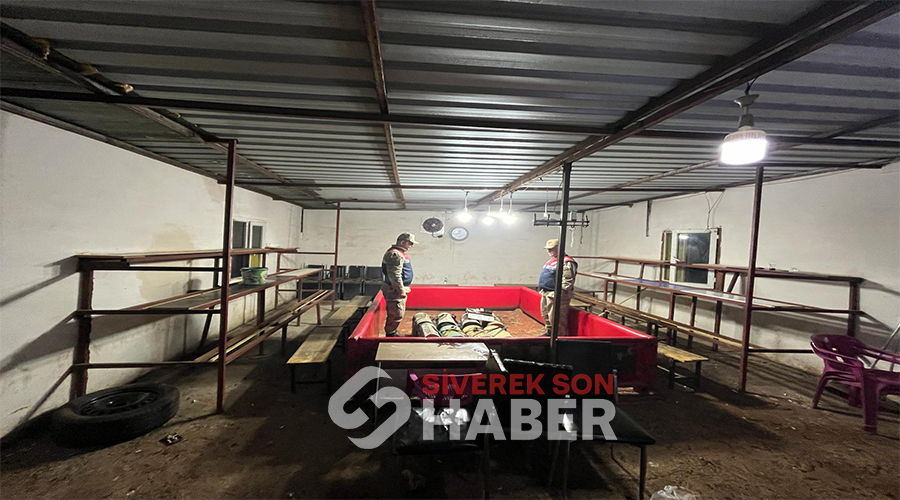 Siverek’te horoz dövüştürenlere yönelik operasyon