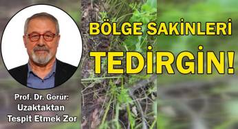 Yer altından gelen sesler vatandaşı tedirgin ediyor!