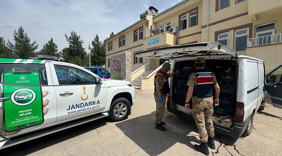 Jandarma kaçak balık avcılığına izin vermedi!