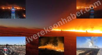 Anız yaktıkları belirlenen kişilere yasal işlem yapıldı