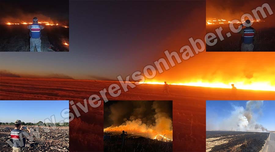 Anız yaktıkları belirlenen kişilere yasal işlem yapıldı