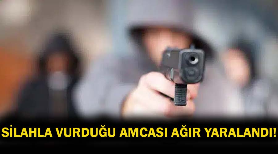 Silahla vurduğu amcası ağır yaralandı!