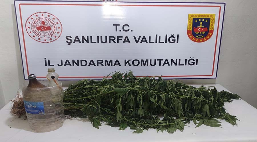 Jandarma uyuşturucuya geçit vermiyor!