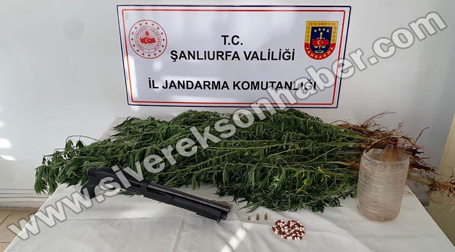 Uyuşturucu operasyonunda hint keneviri ve hap ele geçirildi