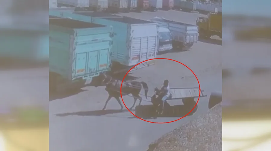 Buğday pazarındaki at arabası çalındı!