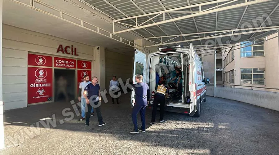 Mevsimlik işçileri taşıyan pikabın devrilmesi sonucu 9 kişi yaralandı