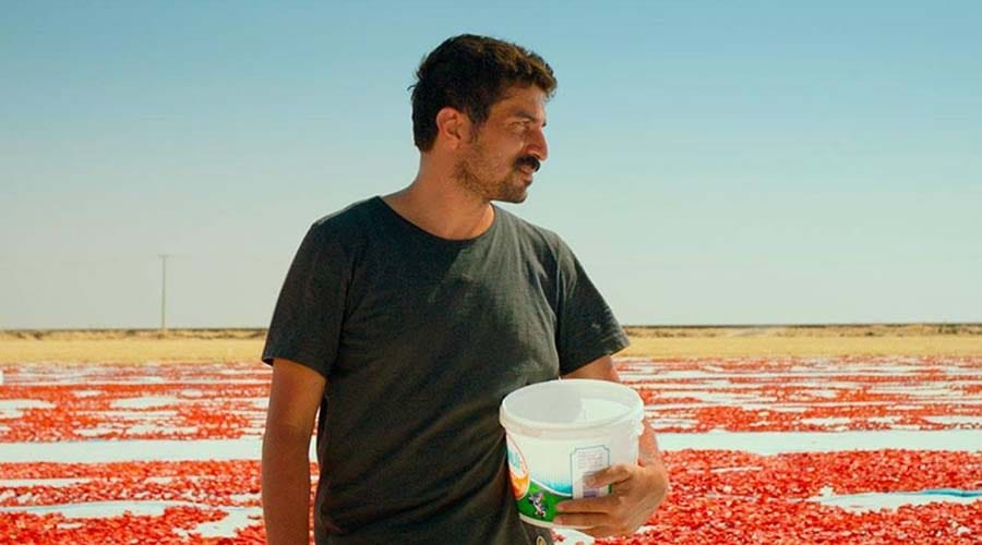 Siverekli yönetmen Venedik Film Festivali’nde ödül aldı