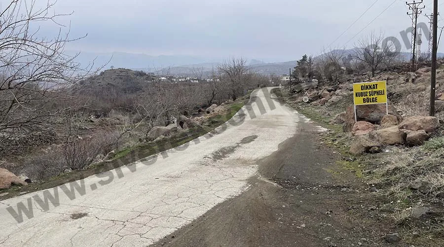 3 kişiyi yaralayan köpek kuduz çıktı