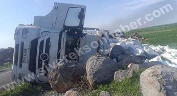 Şarampole devrilen tırın sürücüsü yaralandı