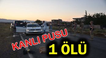 Siverek’te otomobile düzenlenen silahlı saldırıda 1 kişi öldü