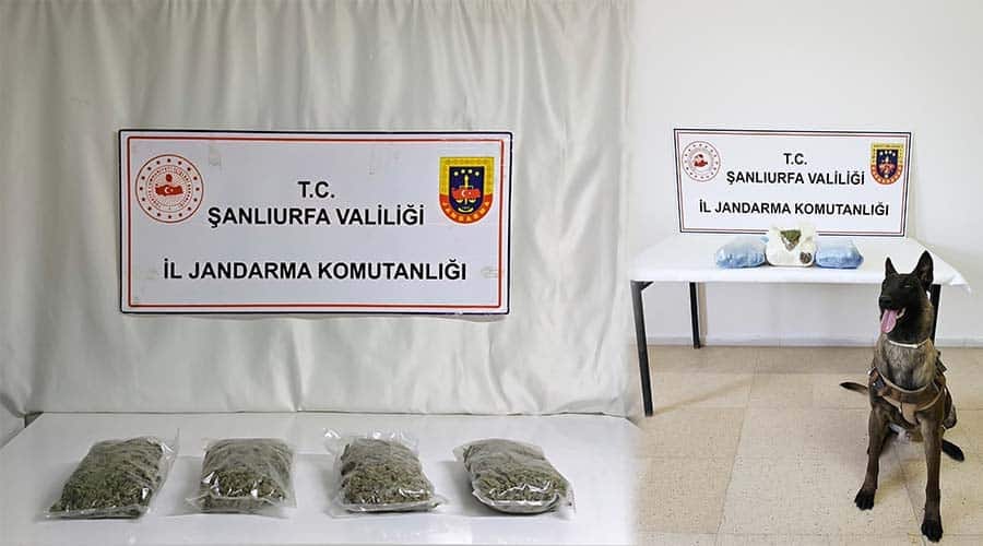 Uyuşturucu operasyonunda 3 şüpheli yakalandı