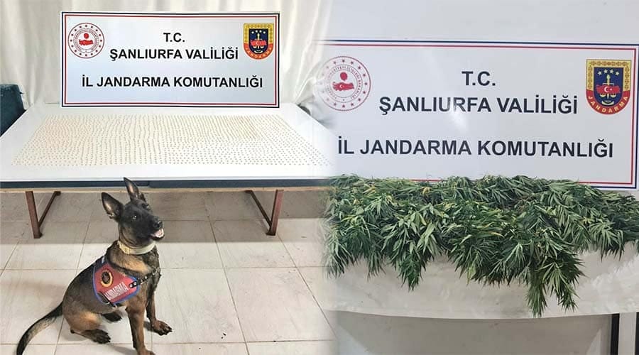 Siverek’te binlerce uyuşturucu hap ele geçirildi!