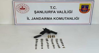 Siverek’te tarihi eser kaçakçılığı operasyonu