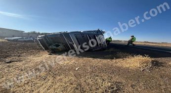 Tırın şarampole devrilmesi sonucu 2 kişi yaralandı, 5 hayvan telef oldu