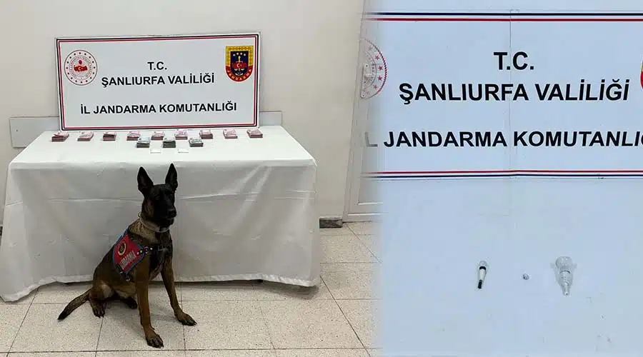 Jandarma operasyonunda para ve uyuşturucu ele geçirildi!