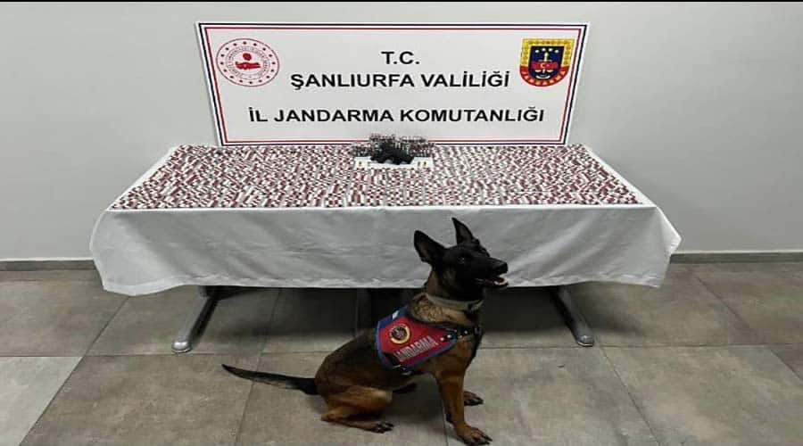 Şanlıurfa’da uyuşturucu operasyonları sürüyor