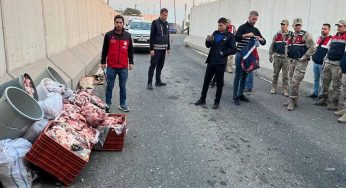 Viranşehir’de kaçak et taşıyan araç yakalandı