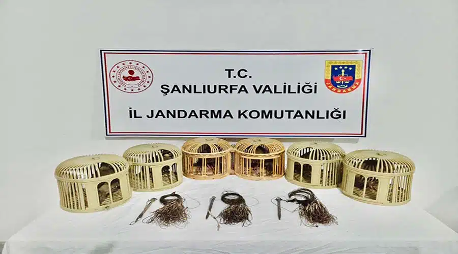 Kaçak avcılık yapan 3 kişi yakalandı